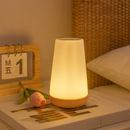 Luminária De Mesa Recarregável Moderna