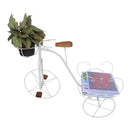 Bicicleta Decorativa de Ferro Rústica Branca - Pequena