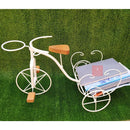 Bicicleta Decorativa de Ferro Rústica Branca - Pequena