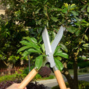 Tesourão de Jardinagem Profissional