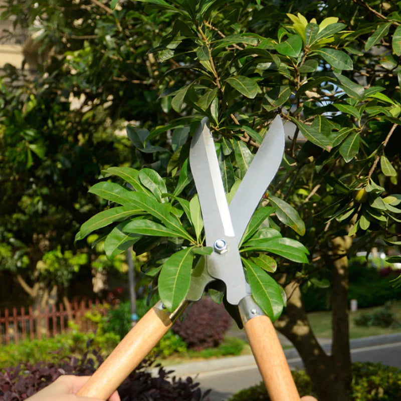 Tesourão de Jardinagem Profissional